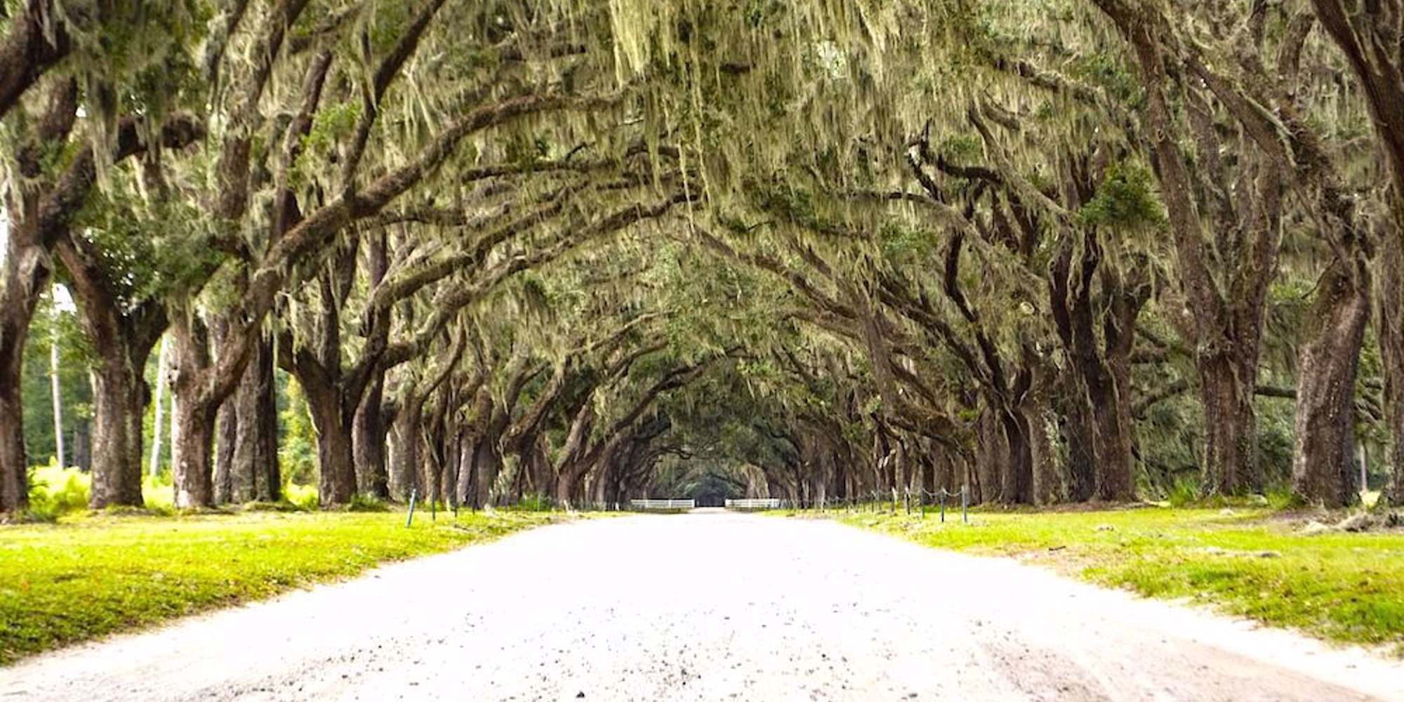 Tree-lined bike trail on the Florida coast to coast trail